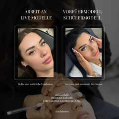 DELUXE BRAUEN-LAMINIERUNG, SHAPE & BROW-WAX + HYBRID DYE/ ANFÄNGER